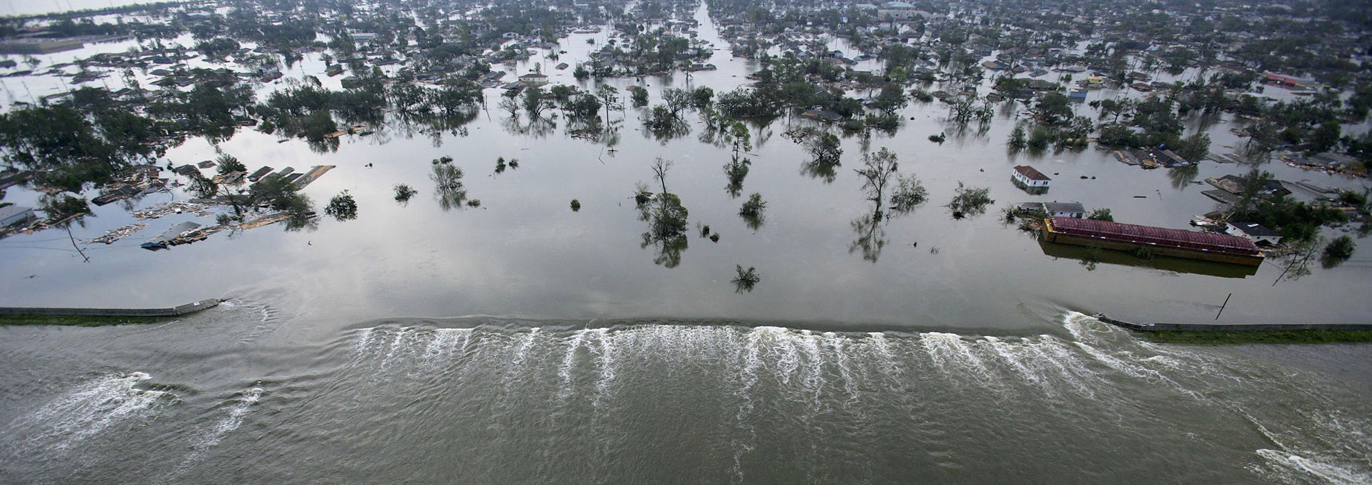 Aerial Surveys in Louisiana